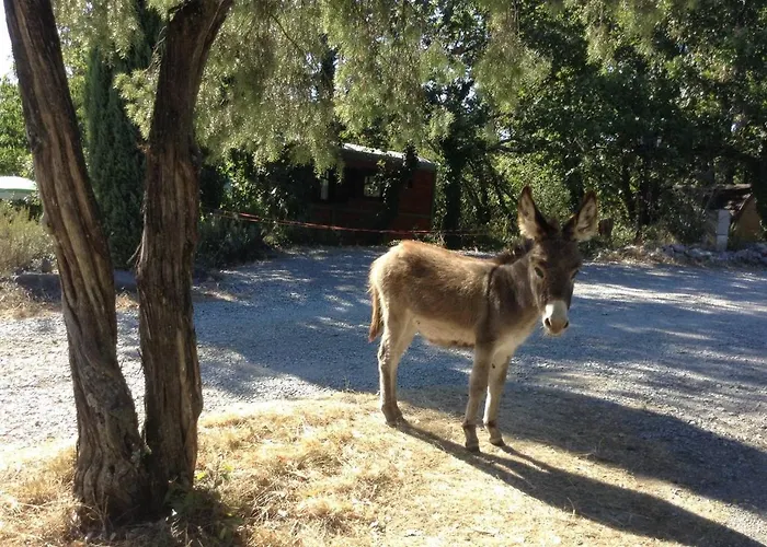 Nid D'amour Et Privatif Lodge